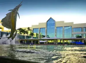 bccc fl